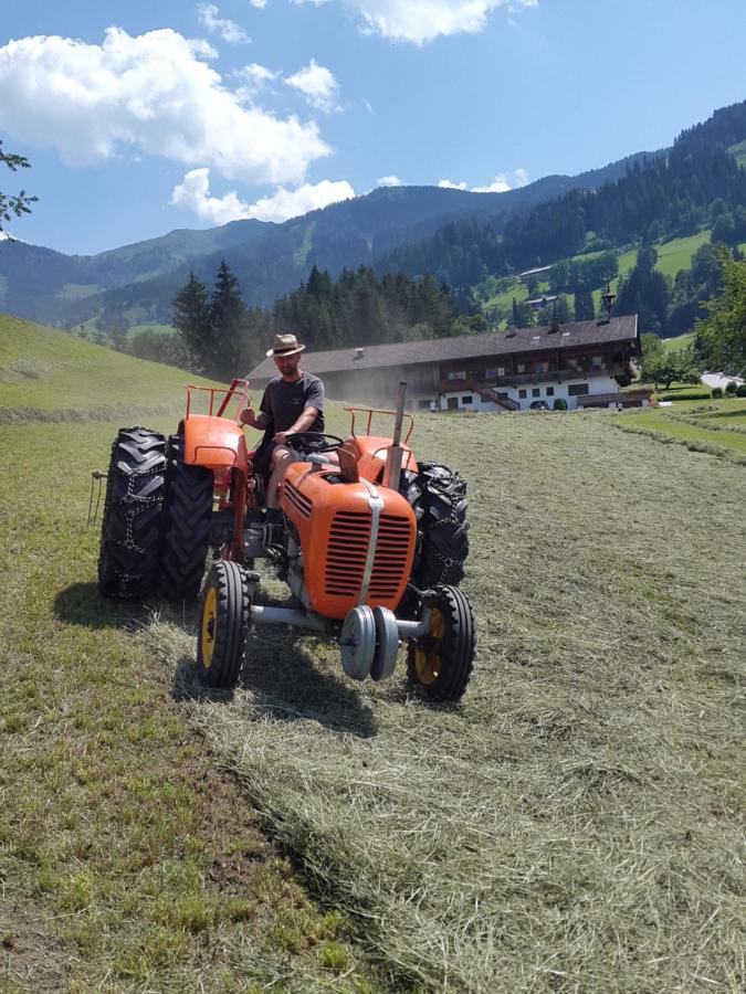 Hochmuthhof Lejlighed Reith im Alpbachtal Eksteriør billede